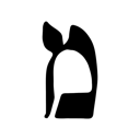 מ